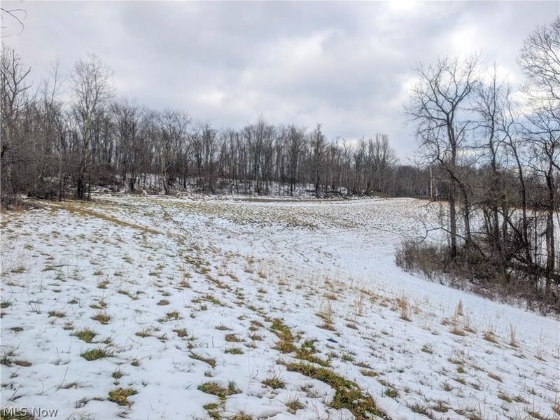 0 Tract 12 TR 233, Summerfield, OH 43788 Photo 10