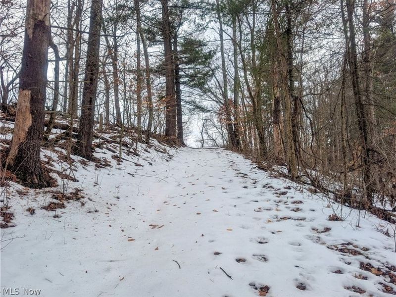 0 Tract 12 TR 233, Summerfield, OH 43788 Photo 11