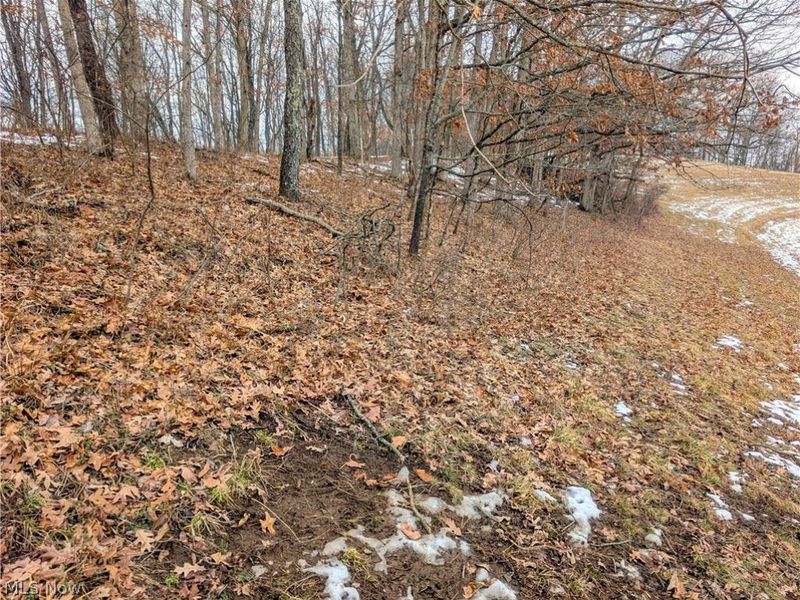 0 Tract 12 TR 233, Summerfield, OH 43788 Photo 12