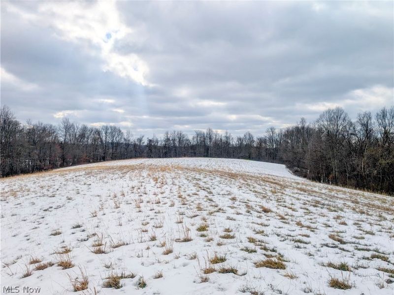 0 Tract 12 TR 233, Summerfield, OH 43788 Photo 15