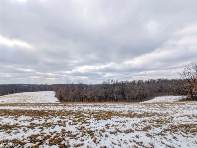 0 Tract 12 TR 233, Summerfield, OH 43788 Photo 16