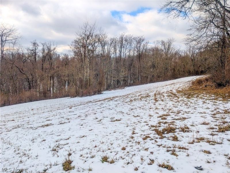 0 Tract 12 TR 233, Summerfield, OH 43788 Photo 17