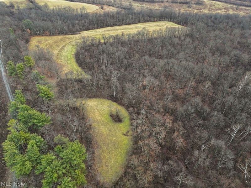 0 Tract 12 TR 233, Summerfield, OH 43788 Photo 25