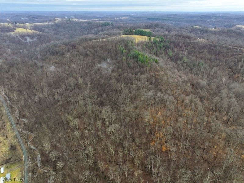 0 Tract 12 TR 233, Summerfield, OH 43788 Photo 27