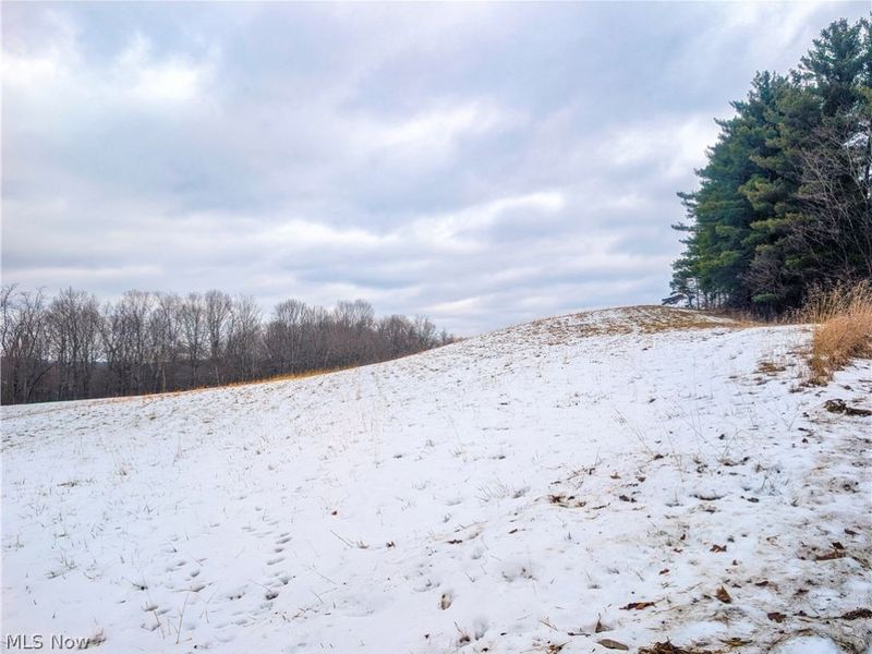0 Tract 12 TR 233, Summerfield, OH 43788 Photo 4