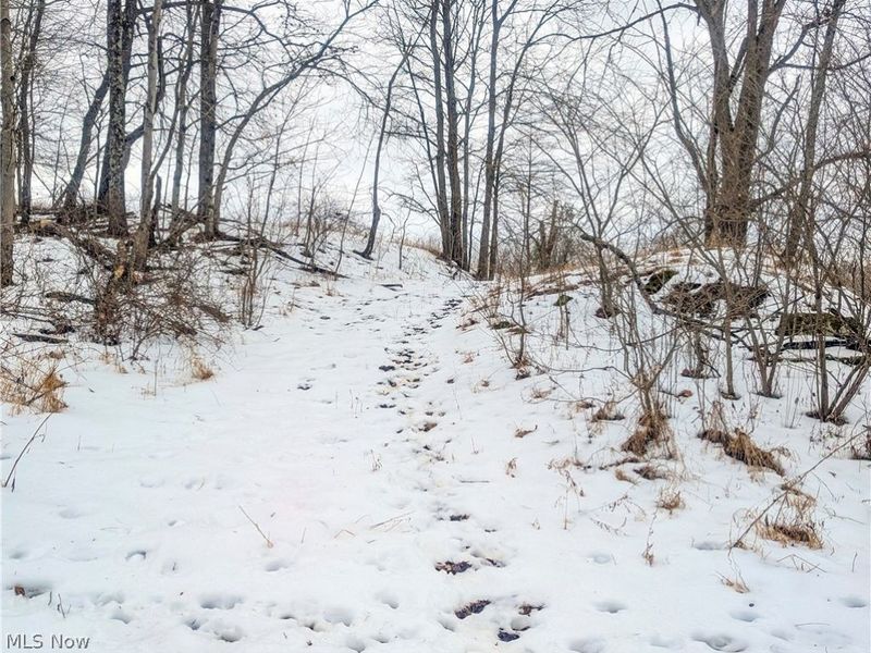 0 Tract 12 TR 233, Summerfield, OH 43788 Photo 5