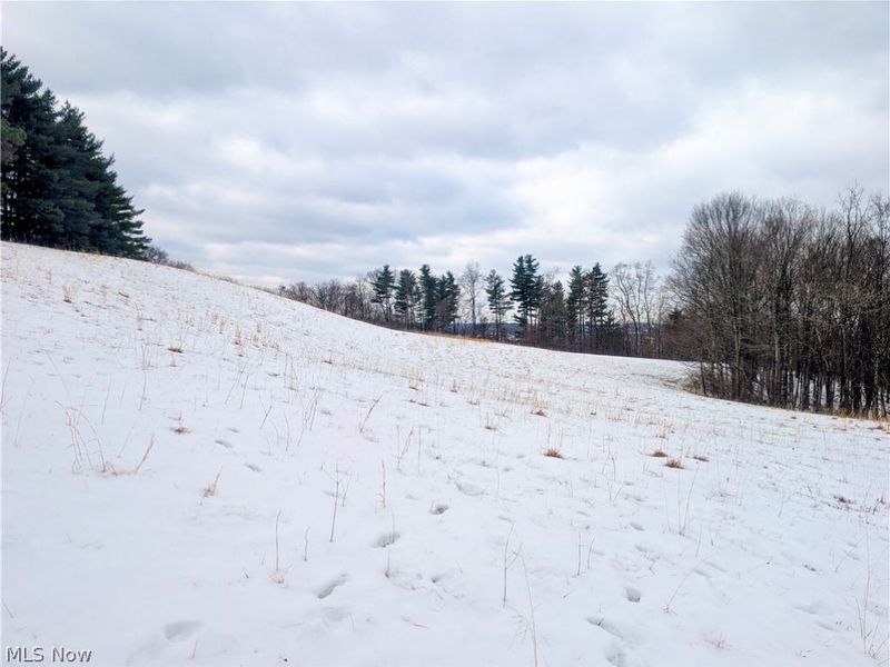 0 Tract 12 TR 233, Summerfield, OH 43788 Photo 6