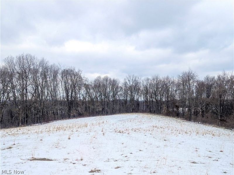 0 Tract 12 TR 233, Summerfield, OH 43788 Photo 7