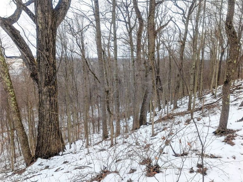 0 Tract 12 TR 233, Summerfield, OH 43788 Photo 9