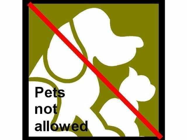 99 SE Mizner Boulevard, Unit 215, Boca Raton, FL 33432 Photo