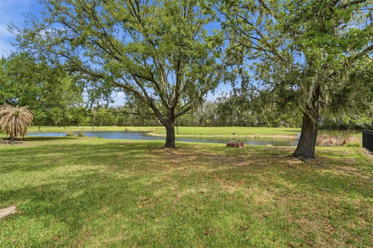 6407 Bridgecrest Drive , Lithia, FL 33547 Photo