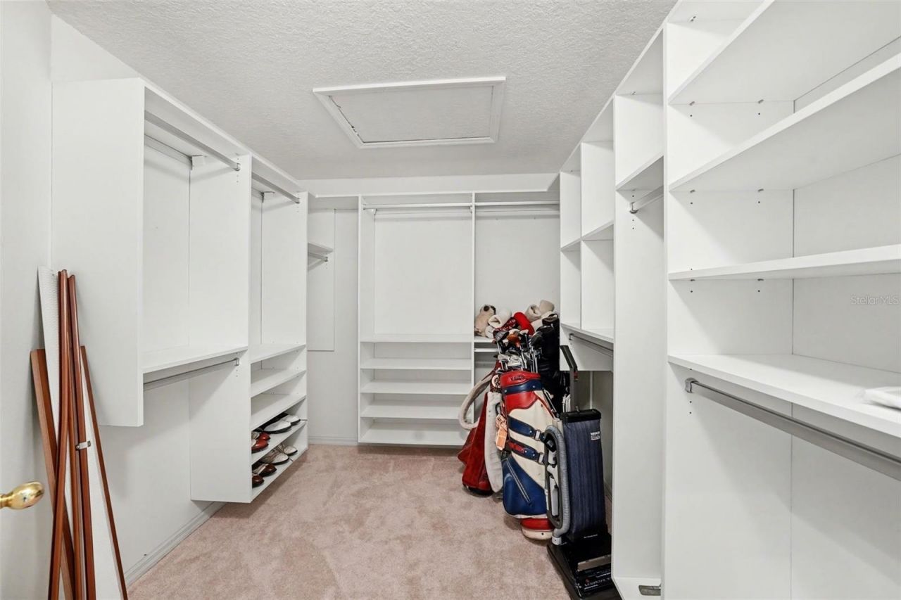 12804 Wallingford Drive, Tampa, FL 33624 Photo