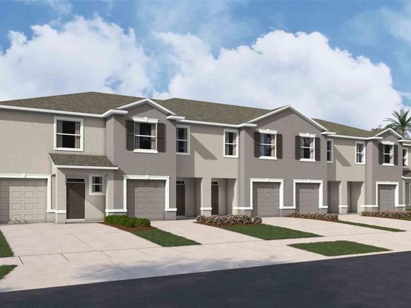 31119 PAPER BIRCH STREET , WESLEY CHAPEL, FL 33545