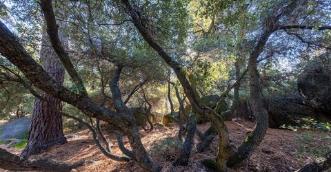 . Harbor Avenue, Kings Beach, CA 96143 Photo