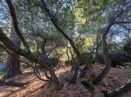 . Harbor Avenue, Kings Beach, CA 96143 Photo