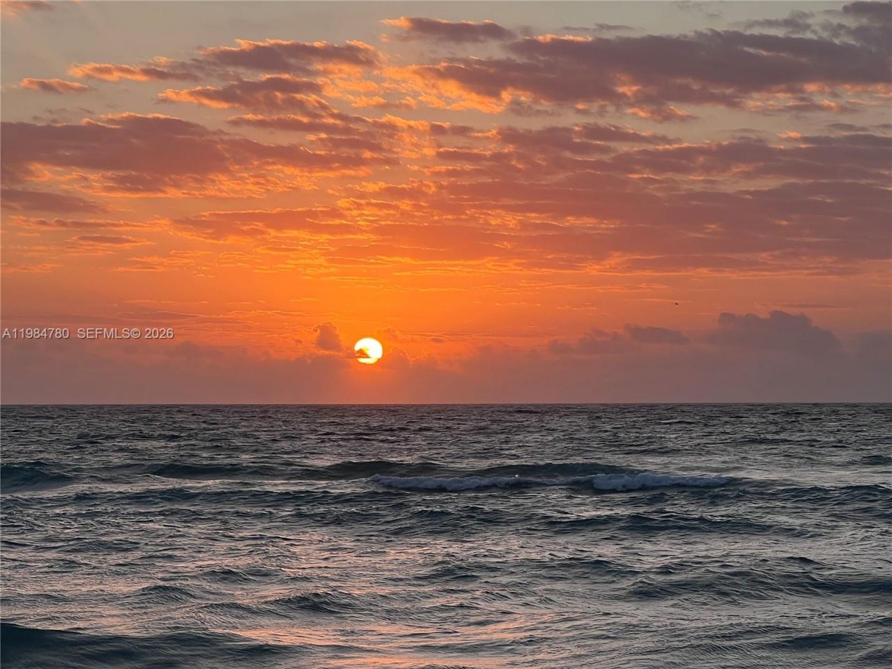 1825 S Ocean Dr , Unit 305, Hallandale Beach, FL 33009 Photo