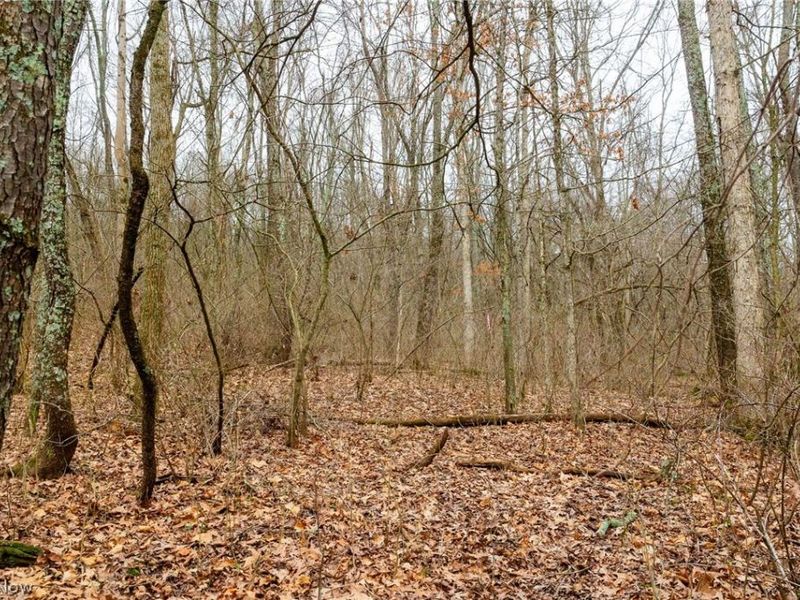 10445 Shannon Road, Frazeysburg, OH 43822 Photo 1