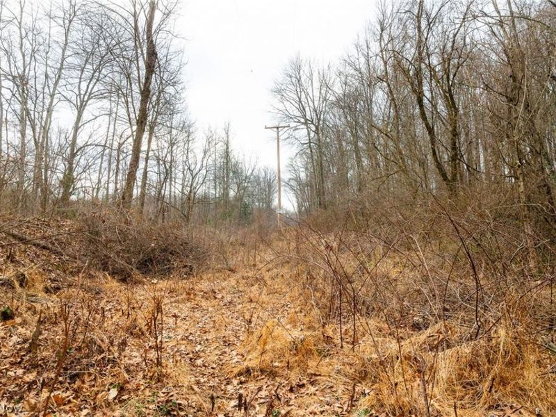 10445 Shannon Road, Frazeysburg, OH 43822 Photo 3