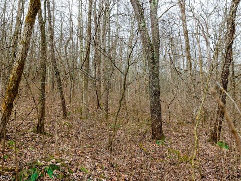 10445 Shannon Road, Frazeysburg, OH 43822 Photo 4