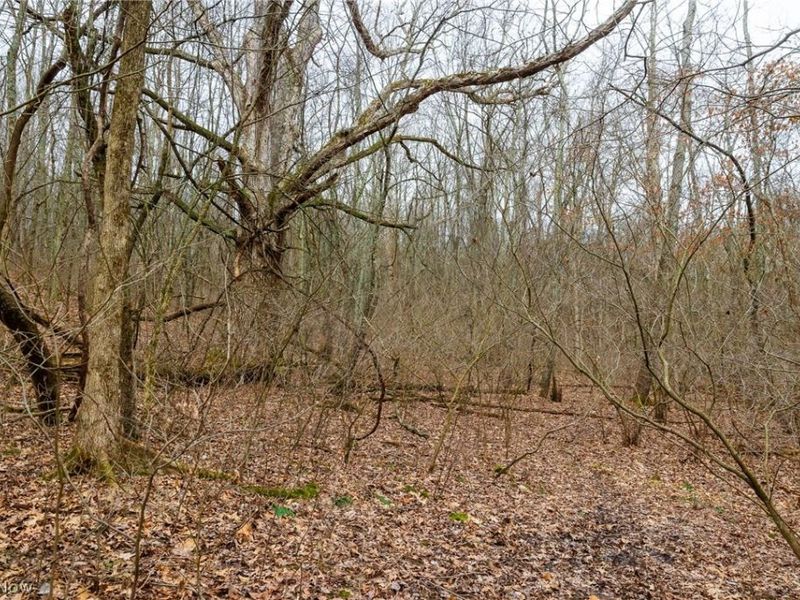 10445 Shannon Road, Frazeysburg, OH 43822 Photo 6