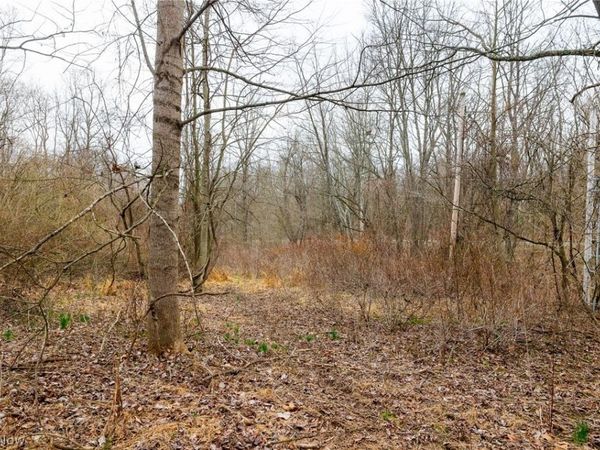 10445 Shannon Road , Frazeysburg, OH 43822