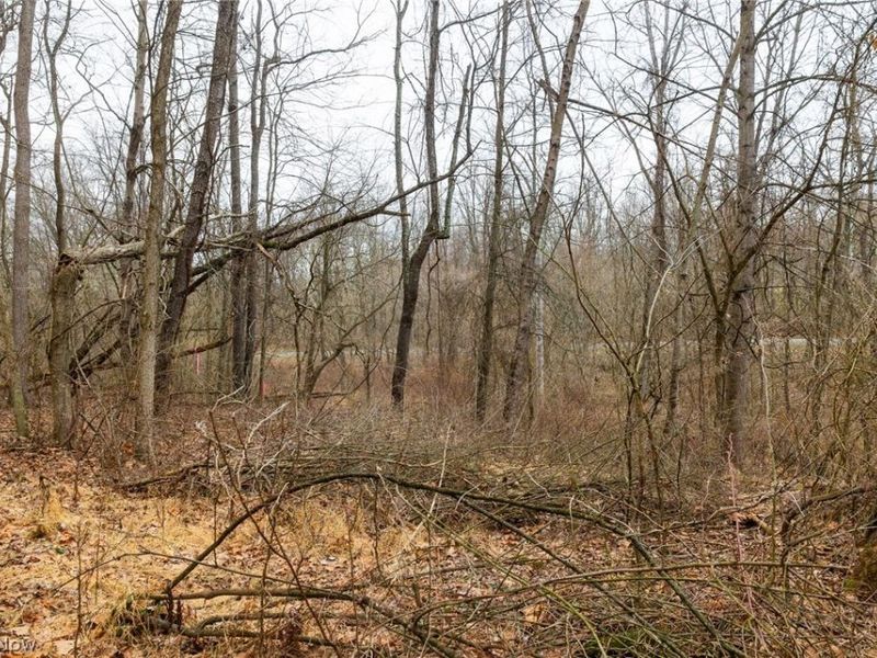 10445 Shannon Road, Frazeysburg, OH 43822 Photo 10