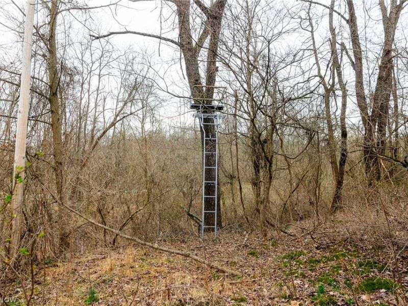 10445 Shannon Road, Frazeysburg, OH 43822 Photo 5