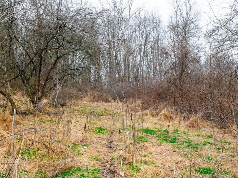 10445 Shannon Road, Frazeysburg, OH 43822 Photo 6