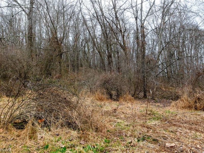 10445 Shannon Road, Frazeysburg, OH 43822 Photo 7