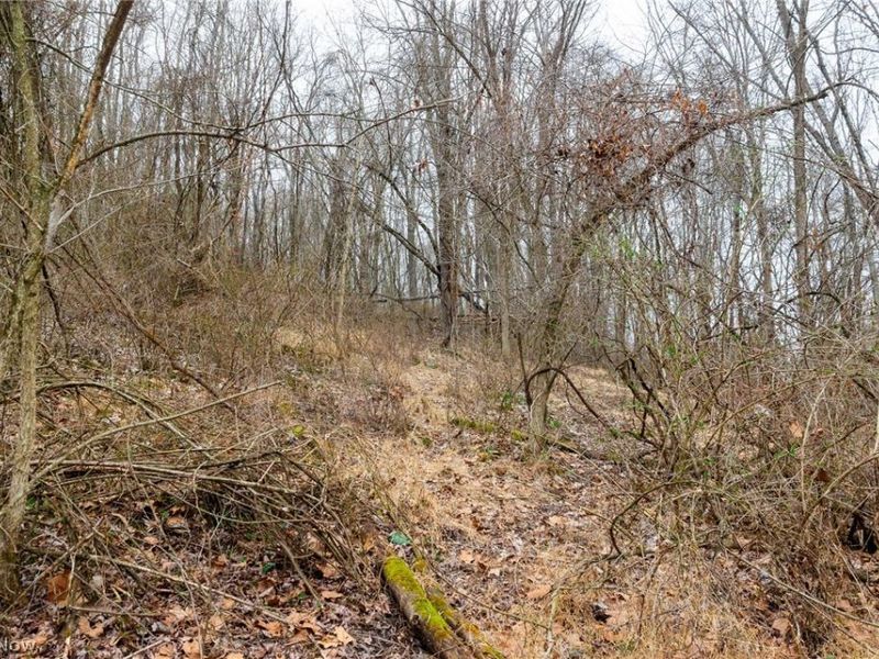 10445 Shannon Road, Frazeysburg, OH 43822 Photo 8