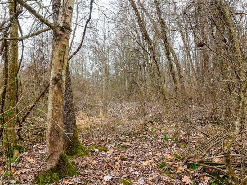 10445 Shannon Road, Frazeysburg, OH 43822 Photo 9