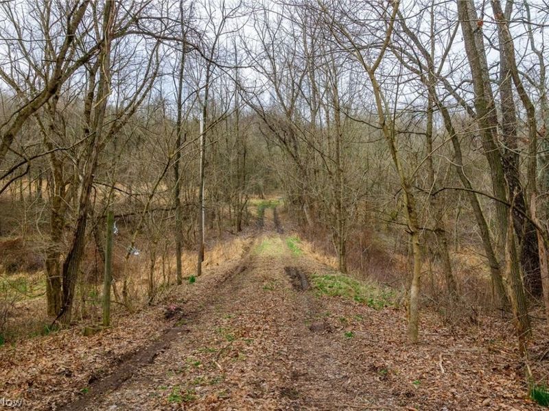 10445 Shannon Road, Frazeysburg, OH 43822 Photo 2