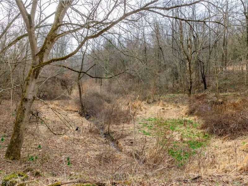 10445 Shannon Road, Frazeysburg, OH 43822 Photo 5