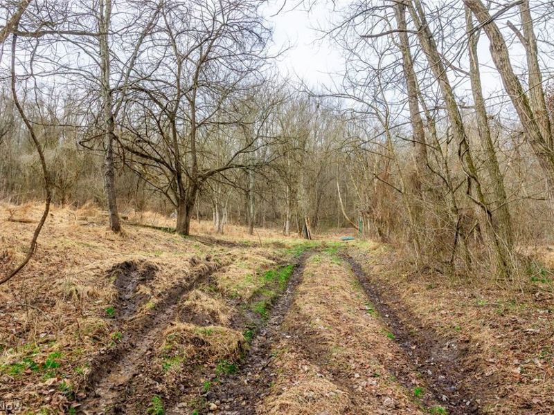 10445 Shannon Road, Frazeysburg, OH 43822 Photo 7