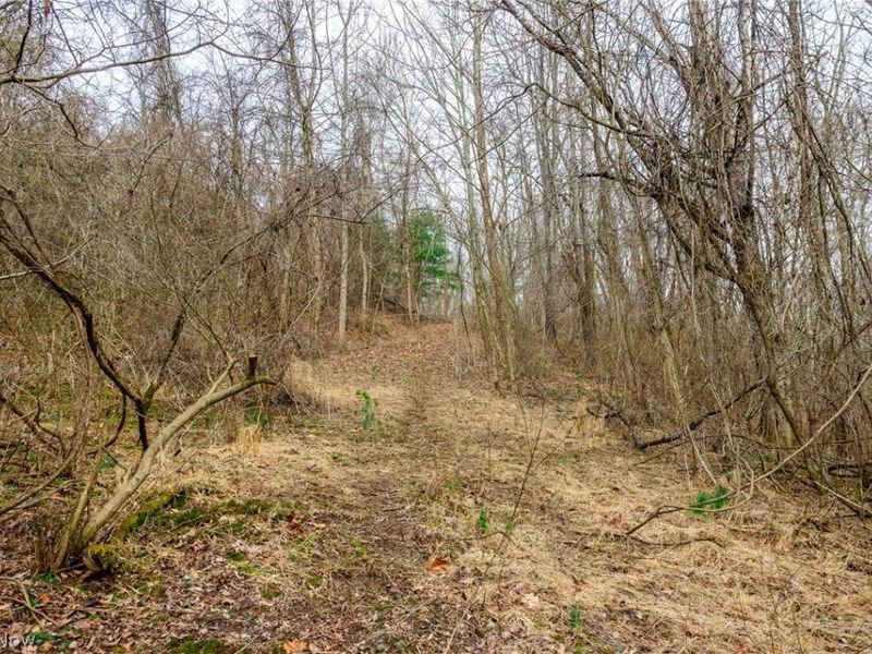 10445 Shannon Road, Frazeysburg, OH 43822 Photo 9