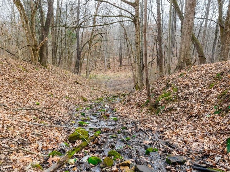 10445 Shannon Road, Frazeysburg, OH 43822 Photo 10