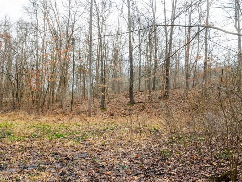 10445 Shannon Road, Frazeysburg, OH 43822 Photo 11