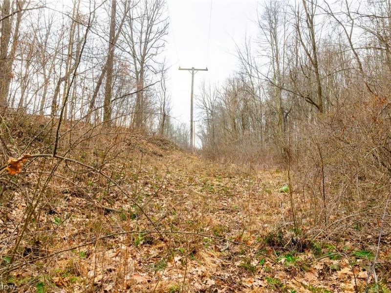 10445 Shannon Road, Frazeysburg, OH 43822 Photo 12