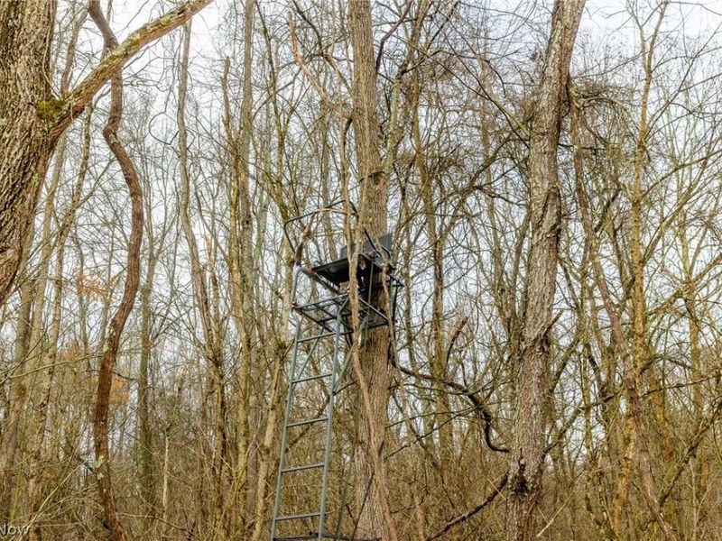 10445 Shannon Road, Frazeysburg, OH 43822 Photo 4