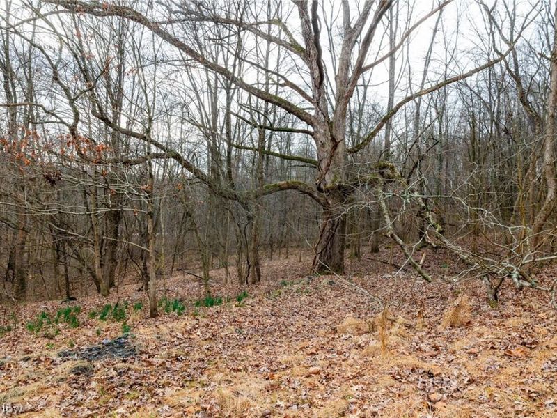 10445 Shannon Road, Frazeysburg, OH 43822 Photo 5