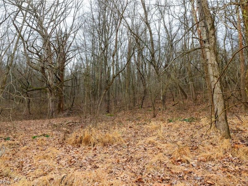 10445 Shannon Road, Frazeysburg, OH 43822 Photo 6