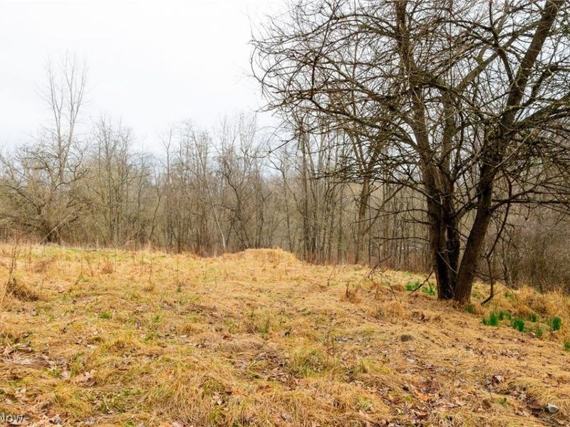 10445 Shannon Road, Frazeysburg, OH 43822 Photo 7