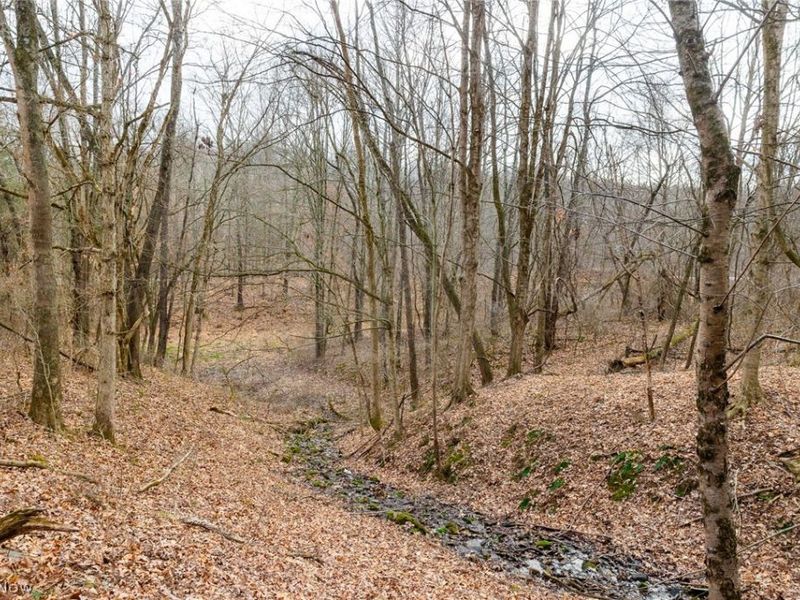 10445 Shannon Road, Frazeysburg, OH 43822 Photo 8