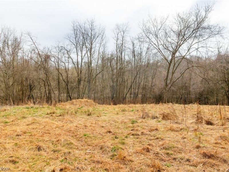 10445 Shannon Road, Frazeysburg, OH 43822 Photo 11