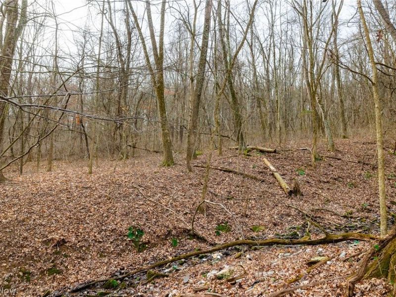 10445 Shannon Road, Frazeysburg, OH 43822 Photo 15