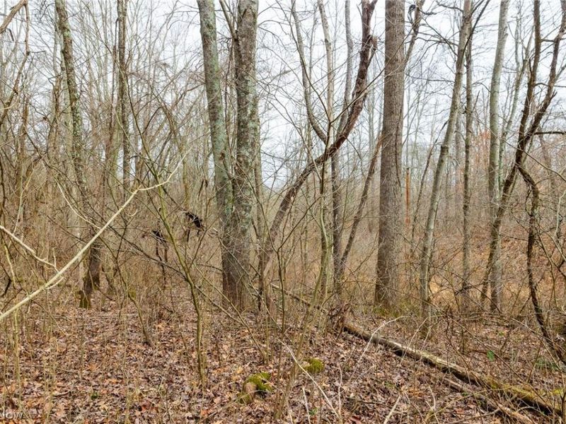 10445 Shannon Road, Frazeysburg, OH 43822 Photo 19