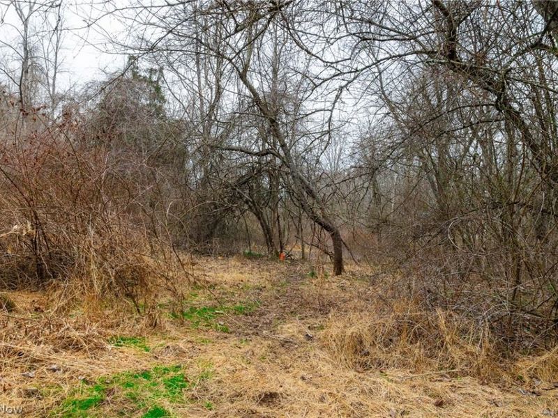 10445 Shannon Road, Frazeysburg, OH 43822 Photo 2