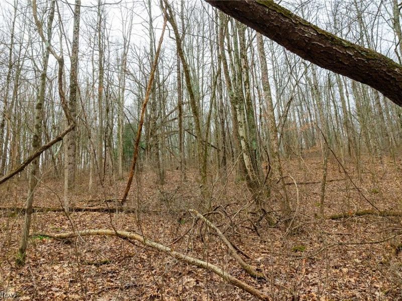 10445 Shannon Road, Frazeysburg, OH 43822 Photo 20