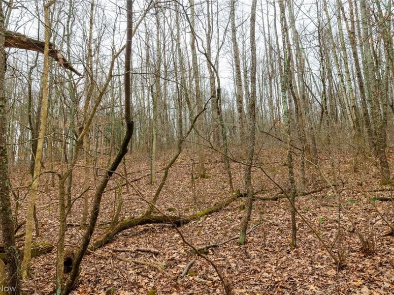 10445 Shannon Road, Frazeysburg, OH 43822 Photo 21