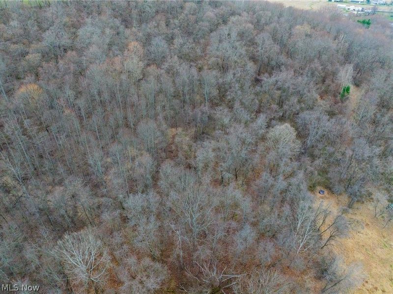 10445 Shannon Road, Frazeysburg, OH 43822 Photo 26